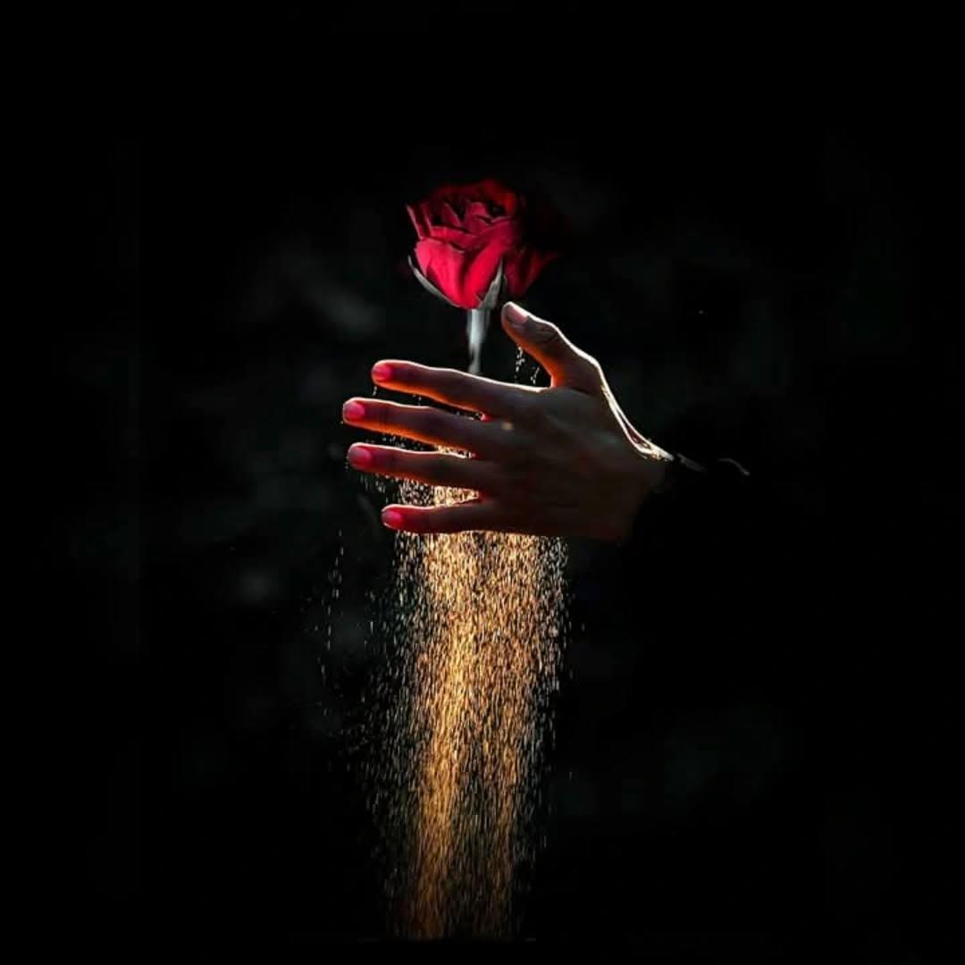 There is a rose in the hand